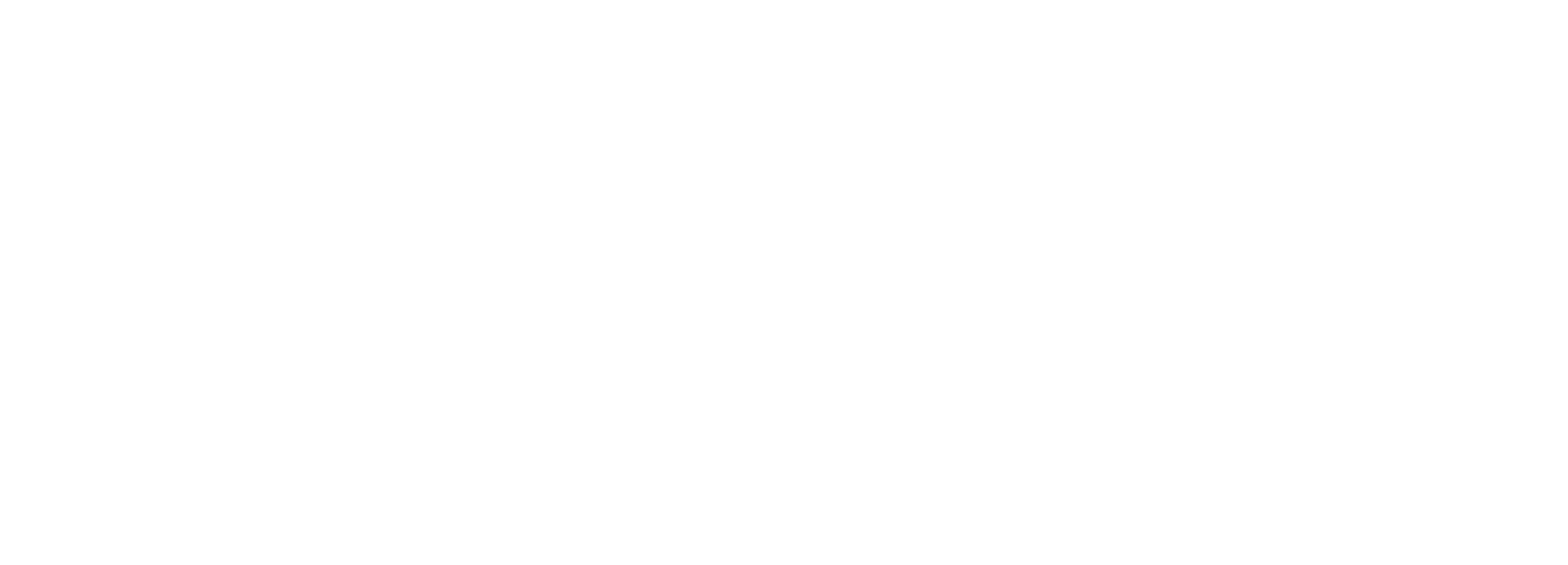 SheilaHall_Wordmark+SSIR_Lockup 2